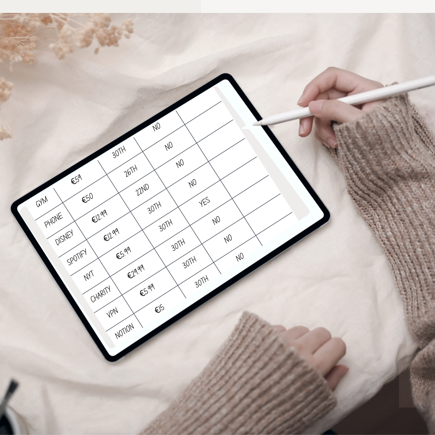The Digital Financial Planner