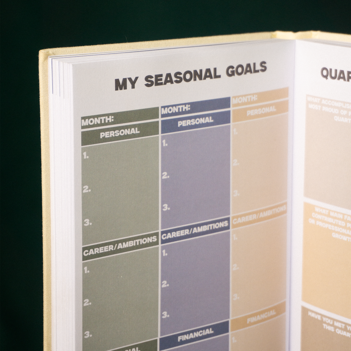 'Plan Your Growth' Undated Weekly Agenda