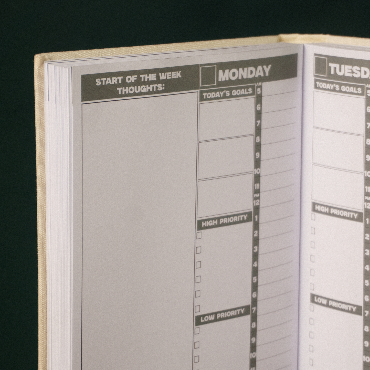 'Plan Your Growth' Undated Weekly Agenda