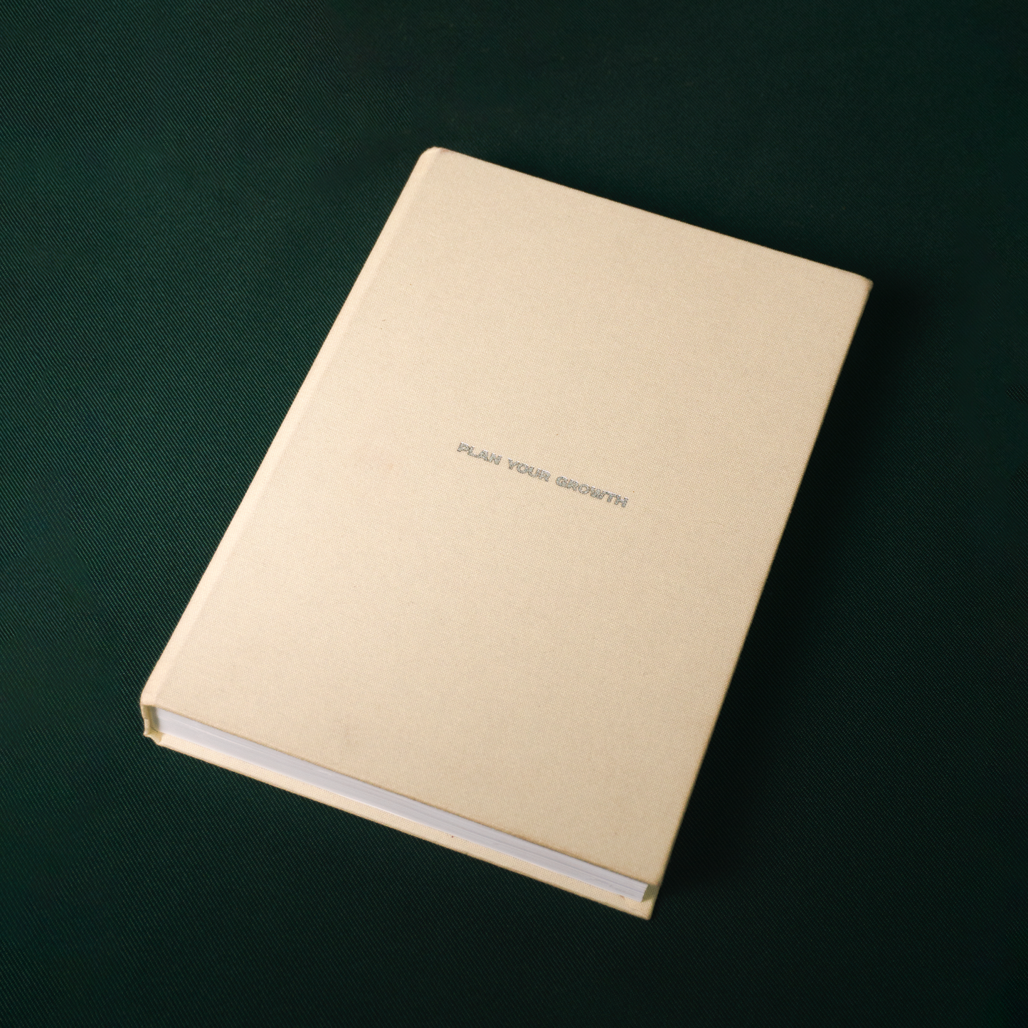 'Plan Your Growth' Undated Weekly Agenda