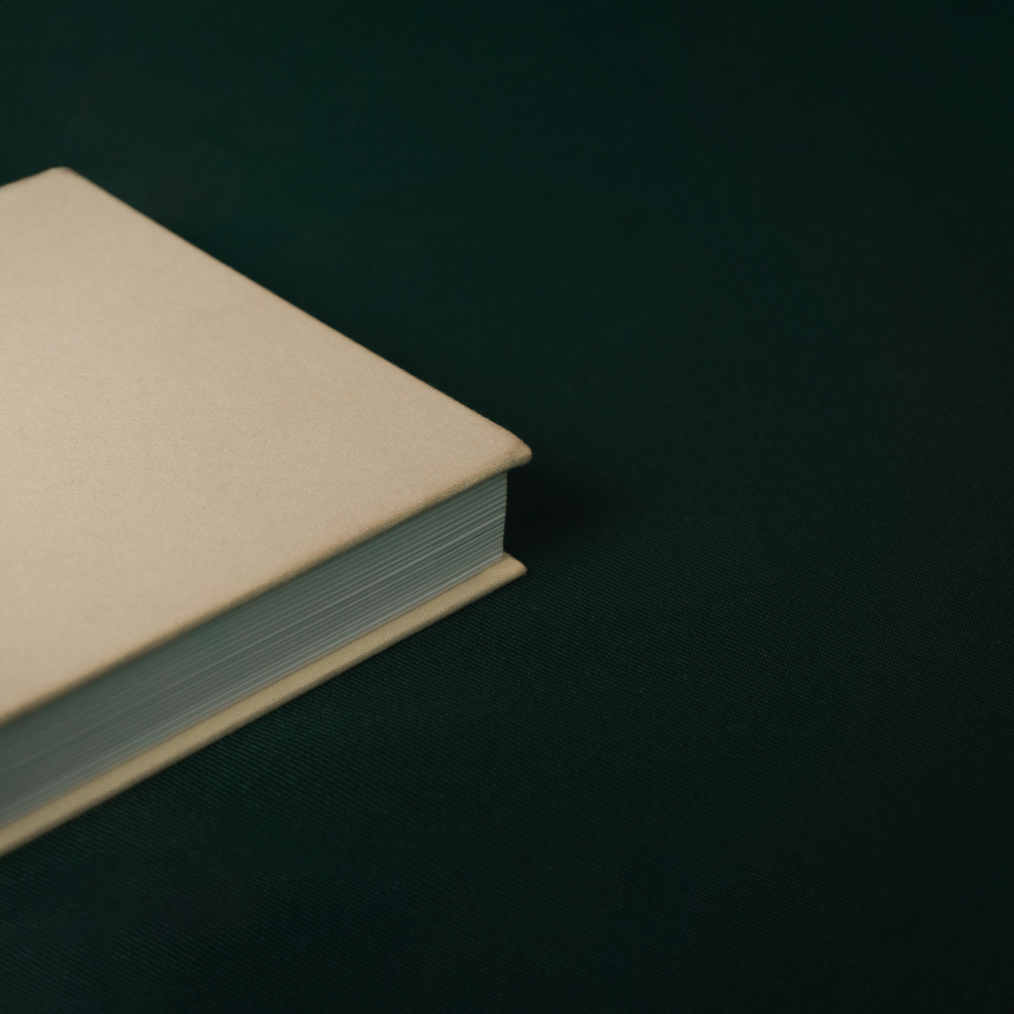 'Plan Your Growth' Undated Weekly Agenda