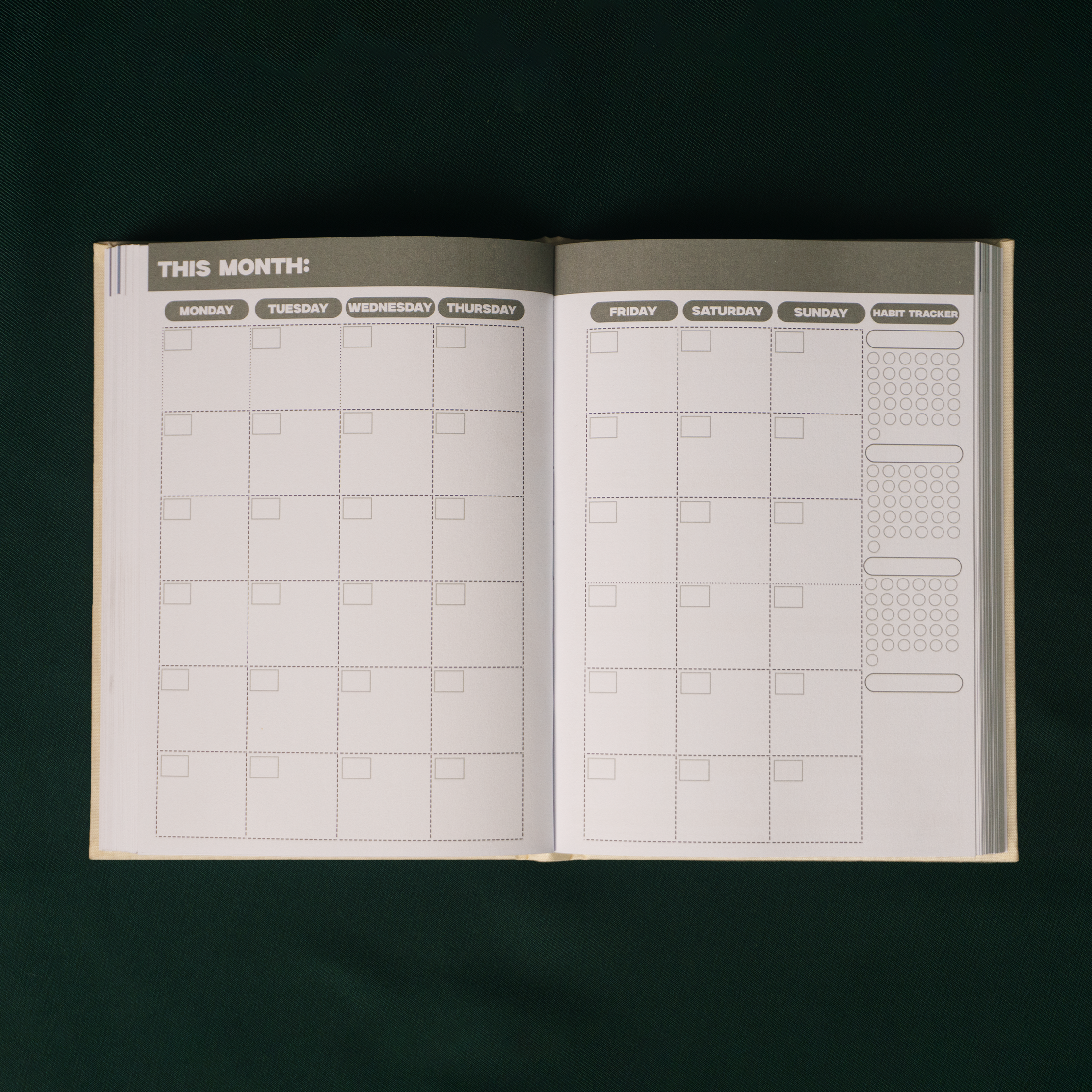 Planning your morning routine with the Plan Your Growth undated agenda
