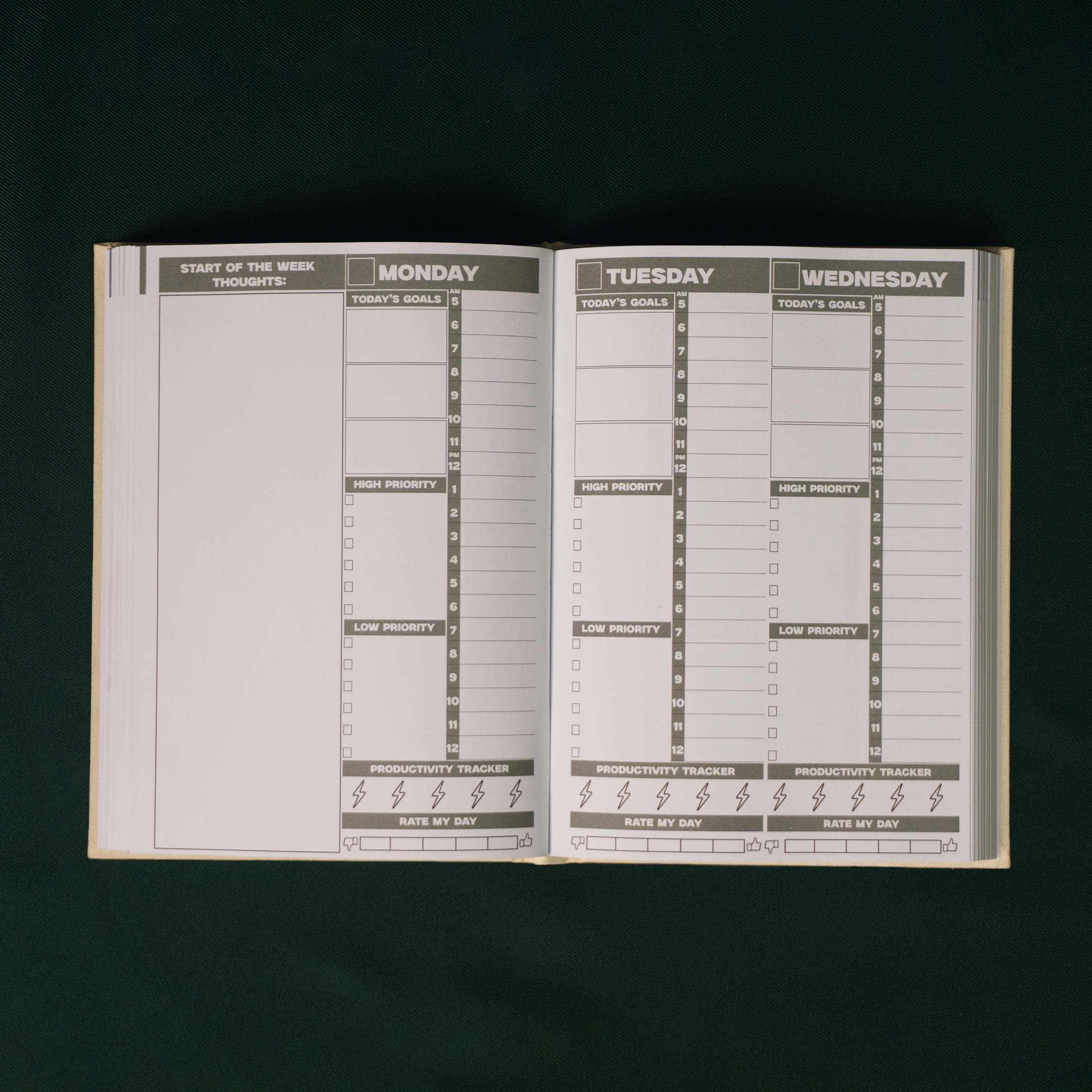 GuyGottaChange planner showing goal tracking and monthly review pages